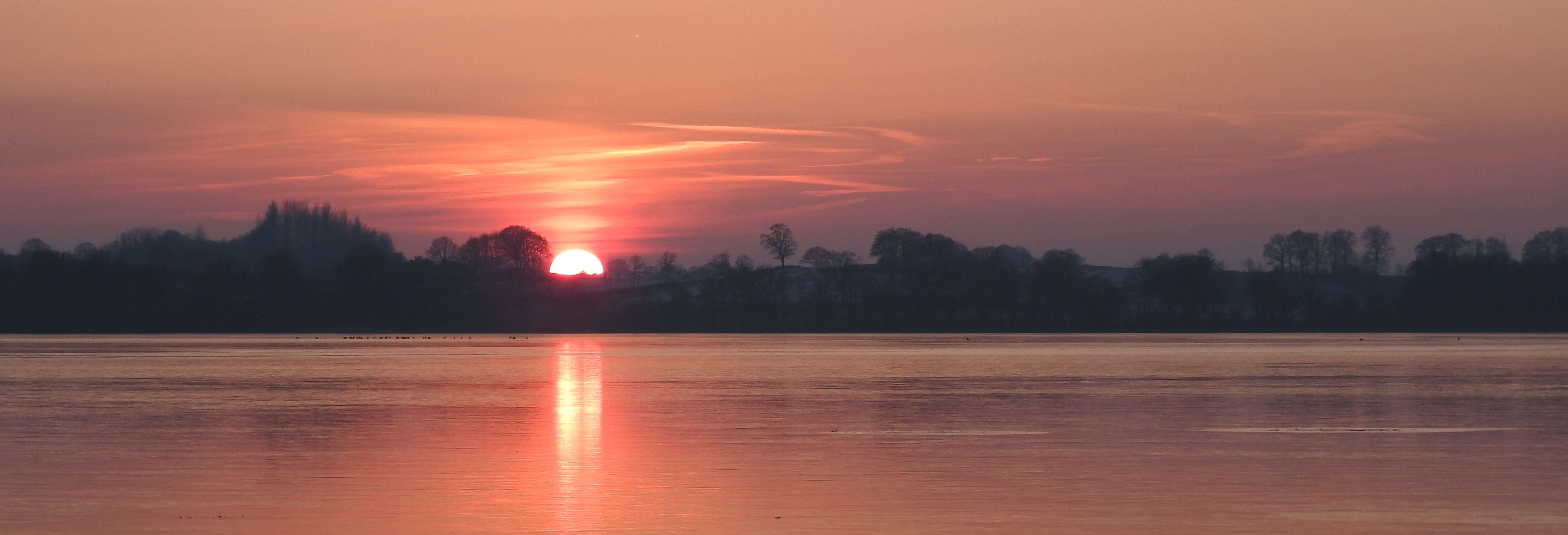 Dies ist das Kopfbild für die Website Nerdhalla. Es wird dynamisch erzeugt und sieht auf je nach Seite anders aus.