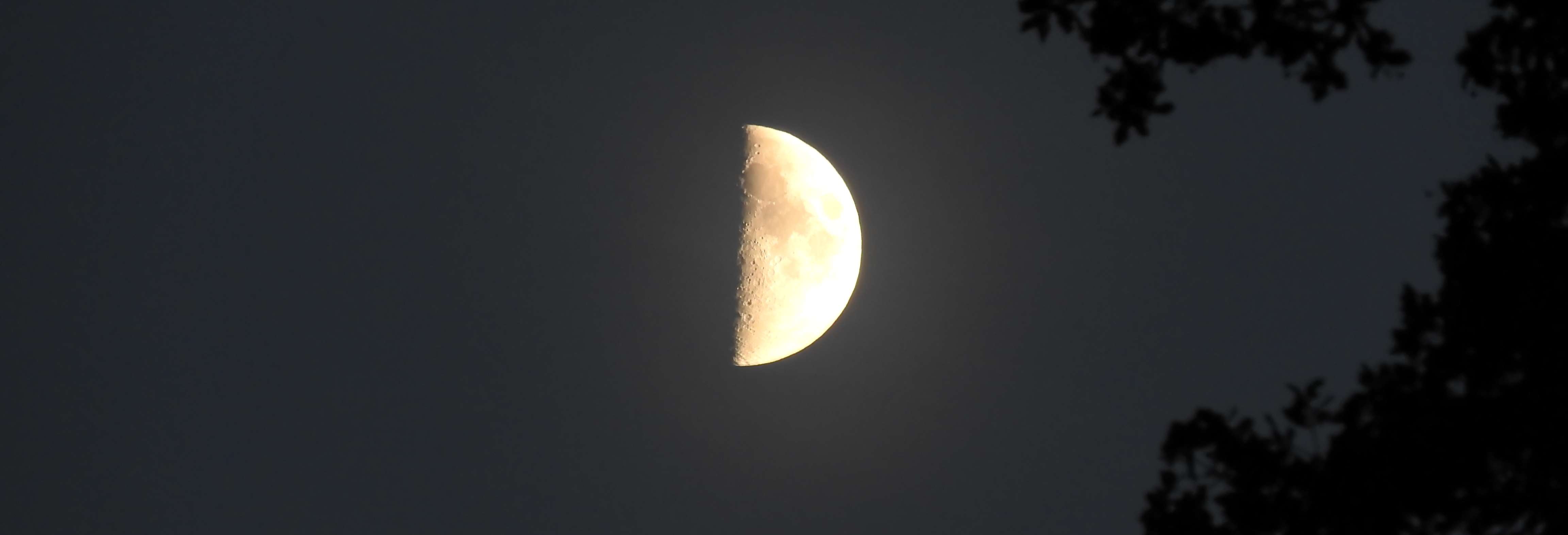 Dies ist das Kopfbild für die Website Nerdhalla. Es wird dynamisch erzeugt und sieht auf je nach Seite anders aus.